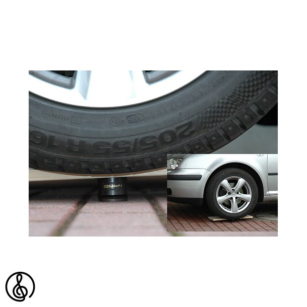 W&M Audio Symbio P-1